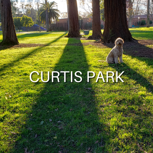 Curtis Park